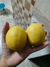 uncle lemon四川特產(chǎn)安岳黃檸檬新鮮水果多汁奶茶店榨汁切片產(chǎn)地直供 2個 三級果面有瑕疵，單果重100-200g 曬單實拍圖