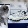 FILA 斐樂(lè)官方男鞋老爹鞋運(yùn)動(dòng)鞋2025年貓爪鞋5代復(fù)古休閑鞋 曬單實(shí)拍圖