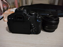 佳能/Canon 600D 700D 750D 760D 800D 二手單反相機(jī)新手入門(mén)旅游高清相機(jī) 750D+50/1.8 STM【小痰盂套機(jī)】 99新 曬單實(shí)拍圖