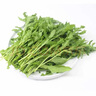 桃李村【順豐】新鮮芝麻菜 火箭菜 西餐蔬菜 沙拉菜 生菜 500g 曬單實拍圖