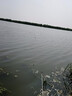 客友釣具客友海內無(wú)雙蘆葦浮漂鯽魚(yú)漂高靈敏鯉魚(yú)漂野釣魚(yú)漂醒目加粗蘆葦漂 蘆葦L76 2號 曬單實(shí)拍圖
