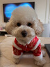 憨憨寵新年唐裝狗狗棉衣服冬季比熊小型犬衣服寵物泰迪衣服冬季過(guò)年四腳 新年裝白邊唐裝 M號建議體重5-7斤 曬單實(shí)拍圖