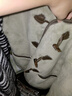 百圖betu女裝冬季新款短外套撞色皮邊牛角扣仿皮草外套女2410T70 豆綠色 L 曬單實拍圖
