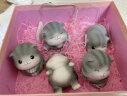 姗珀（SHANPO）520情人节礼物送女友猫咪摆件女生生日礼物女孩子六一儿童节礼品 一套5只 精美礼盒装 实拍图