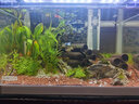 異景園魚缸造景陶罐魚躲避屋產(chǎn)卵洞鯛罐蝦屋洞蝦窩異型魚繁殖罐套餐擺件 ZS166六孔蝦屋 曬單實(shí)拍圖