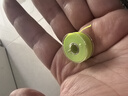 一點紅棉線團棉線節(jié)磯釣路滑漂棉線結(jié)專用線阿波浮漂定位繩釣魚擋豆配件 橙色+黃色棉線團【各1個】中號 曬單實拍圖