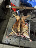 寧灘鮮 寧夏鹽池羊肉 14斤整只灘羊羔 灘羊禮盒 烤全羊 曬單實拍圖