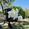 倍歡喜 春游氣球花束母親節(jié)生日裝飾場景布置長條花朵戶外野餐拍照道具 春游花束20朵-送練手花朵加氣筒 曬單實拍圖
