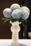 蜀门ins轻奢珍珠色珠光白色北欧现代高级感陶瓷花瓶客厅装饰插花花器 尔岚（珍珠白） 晒单实拍图