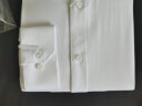 BAOMINGLI衬衫男春秋款男士商务休闲纯色免烫长袖韩版修身职业正装工作衬衣 白色 4XL 实拍图