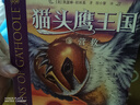 【新華書店官方正版】 貓頭鷹王國系列全套15冊 中文版四五六年級中小學(xué)生課外閱讀經(jīng)典動物奇幻小說兒童幻想自然文學(xué)冒險(xiǎn)勵志成長讀物圖書籍 接力出版社 【第3輯】貓頭鷹王國11-15冊 曬單實(shí)拍圖
