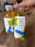 农夫山泉 茶π（茶派） 茶饮料 青提乌龙茶500ml*15瓶 整箱 实拍图