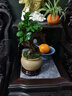 瀚林怡景（HANLINYIJING）小葉人參榕樹盆栽室內(nèi)辦公室茶幾桌面小綠植造型老樁植物四季常青 人參榕-素陶盆A款 曬單實(shí)拍圖