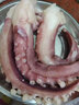 蕓鮮曦魷魚(yú)須 大號(hào)脆口章魚(yú)足 深海新鮮熟凍燒烤火鍋食材 海鮮水產(chǎn) 脆口魷魚(yú)須5斤裝 400-600g/條 曬單實(shí)拍圖