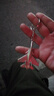 曲美思飛機鑰匙扣創(chuàng  )意金屬鑰匙鏈戰斗機鑰匙掛件航空小禮品紀念品 殲15 曬單實(shí)拍圖