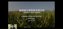 分子植物育種 (美)徐云碧,陳建國 科學(xué)出版社 科學(xué)出版社 曬單實(shí)拍圖