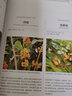 修籬筑道——家庭庭院的設(shè)計與布置 花境、籬笆、紅磚路，經(jīng)典設(shè)計案例，自己動手不費勁 曬單實拍圖