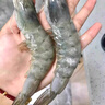 鮮京采 鮮凍大號(hào)黑虎蝦 去冰凈重2斤 31-40只/盒 斑節(jié)對(duì)蝦 曬單實(shí)拍圖