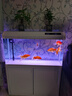 長銳魚缸客廳帶柜子大型一體落地家用懶人水族箱 BF1000魚缸+PVC底柜【長1米】 曬單實(shí)拍圖