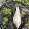 黃金眼魚(yú)漂官方蘆葦浮漂黑坑競技靈敏鯽魚(yú)鯉魚(yú)醒目 黃金眼 L-1088(二目加粗尾) 3號一支 曬單實(shí)拍圖