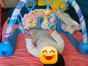 婧麒嬰兒連體衣純棉寶寶春季新生幼兒0-6月衣服春裝蝴蝶哈衣爬服 藍色小兔頭蝴蝶衣 66cm 曬單實拍圖