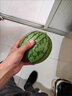 澤鮮達東臺特小鳳西瓜新鮮脆甜冰淇淋西瓜黃肉黃心黃心西瓜 1顆 精選 曬單實(shí)拍圖