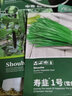壽禾 上海青種子苗油菜青梗菜秋季蔬菜籽 濰育四季上海青種子10g*3袋 曬單實(shí)拍圖