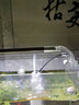 森森（SUNSUN） 魚缸燈LED燈 水族箱照明燈 魚缸夾燈 草缸燈  水族照明設(shè)備 ADP300C配38-42cm魚缸4.5W 曬單實(shí)拍圖