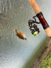 SHIMANO 禧瑪諾21新款卡迪夫CARDIFF NX路亞竿溪流微物竿馬口竿魚竿 1.42米 S48UL-4四節(jié)直柄 曬單實拍圖