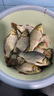 阿盧a31B輕口高靈敏度鯽魚漂黑坑野釣蘆葦浮漂醒目細尾淺水釣魚浮標 LPA31B-13目大紅大綠 5號一支(吃鉛約1.86克) 曬單實拍圖