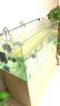 宝贝故事（BABY STORY） 鱼缸盖定做 水晶盖板定制水族箱订做亚克力透明玻璃鱼缸盖子 定制款   B 实拍图