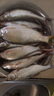 MIGIKE日本品牌魚漂醒目加粗軟硬尾淺水野釣鯉魚漂黑坑漂納米浮漂高靈敏 JS-08-2-主動鯉鳊青草(吃鉛3.6g 曬單實拍圖
