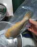 漁哥戲魚大黃花魚1500g 大黃魚3條 新鮮海捕冷凍海魚 曬單實拍圖