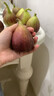 優(yōu)味集【順豐JD現貨秒發(fā)】無(wú)花果鮮果云南紅皮無(wú)花果孕婦水果整箱送禮 1斤精品大果（單果40g+） 曬單實(shí)拍圖