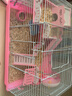 諾辰倉鼠籠子諾辰豪華別墅四季通用47基礎籠小民宿大空間籠子套餐用品 大號原宿粉色雙平臺套餐一 曬單實(shí)拍圖