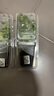逸棵風(fēng)鈴草花苗紫斑風(fēng)鈴多年生宿根植物矮生盆栽花量多 細絲工藝改良1株 曬單實(shí)拍圖