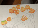 花-萬物我畫 37種彩鉛圖繪花卉 彩色鉛筆畫素描教程色鉛筆基礎(chǔ)實(shí)用教程 彩鉛畫入門 花之繪 正版書籍 曬單實(shí)拍圖