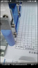 奇硯QY-15重型三孔打孔機(jī)QY-6115D線裝機(jī)干部人事檔案裝訂機(jī)80孔距83空心鉆刀3孔一線打孔 QY-15機(jī)器帶4MM鉆頭 曬單實拍圖
