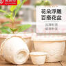 愛(ài)麗思（IRIS）  仿陶瓷花盆加厚圓形樹(shù)脂塑料簡(jiǎn)約室內(nèi)地面種花種樹(shù)盆栽 270淺米色(口徑27cm) 曬單實(shí)拍圖