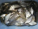黑帶涉水精工魚竿手竿5H19調(diào)捍魔師專享版超輕超硬28調(diào)青草鯉鯽竿野釣黑坑搶魚臺釣竿競技長節(jié)大物竿 【4H28調(diào)】九段飛流3.6米+竿止 曬單實拍圖