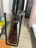 布達(dá)拉宮果凍包透明包單肩斜挎大容量包手提托特包文創(chuàng)時尚潮流休閑包女包 虎虎生威果凍包 曬單實(shí)拍圖