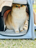 小佩宠物背包灰色 透明透气外出用大号便携小型犬双肩猫包 实拍图