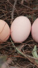 林岚（LINLAN） 土鸡蛋30枚装净重约2.4斤左右农家土鸡蛋草鸡蛋新鲜蛋宝宝蛋 实拍图