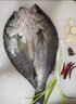 寓島碼頭開背海鱸魚調(diào)味去麟去腮去內(nèi)臟 冷凍真空鎖鮮開袋即烹海鮮水產(chǎn)魚 三去海鱸魚3條(600-700g/條) 曬單實拍圖