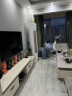 希尔顿家居（XIERDUNJIAJU）休闲创意动物座椅北欧客厅休闲设计师单人椅可爱卡通沙发小沙发 麂皮绒【蓝色*海绵*ABS框架】 实拍图