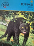正版 狼王夢 動物小說大王沈石溪全套40冊36冊 沈石溪全集品藏書系 狼王夢斑羚飛渡最后一頭戰(zhàn)象等兒童文學中小學生課外書 沈石溪動物小說全套 當當書店官方旗艦店 豺狼虎豹（套裝 共4冊） 曬單實拍圖