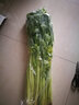 蔬香客 西芹榨汁芹菜新鮮蔬菜黃芹菜芹菜心生吃涼拌壽光特產(chǎn) 精選5斤裝 曬單實(shí)拍圖