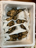 森吉尼達云南新鮮姬松茸鮮菌菇非干貨菌菇新鮮蘑菇火鍋料理煲湯食材食用菌 500g（1斤裝） 曬單實(shí)拍圖