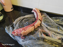 灘羊鮮生 寧夏灘羊肉生鮮全羊整只35斤白條羊年貨禮盒火鍋食材源頭直發(fā) 曬單實拍圖