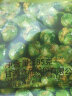 甘源蒜香味青豌豆青豆豌豆粒坚果炒货办公室休闲零食特产小吃豆豆285g 实拍图